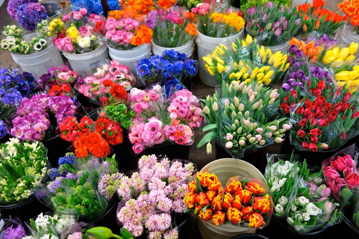 Какие цветы продают в цветочных магазинах названия и фото