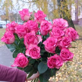 РОЗЫ ЯРКО-РОЗОВЫЕ