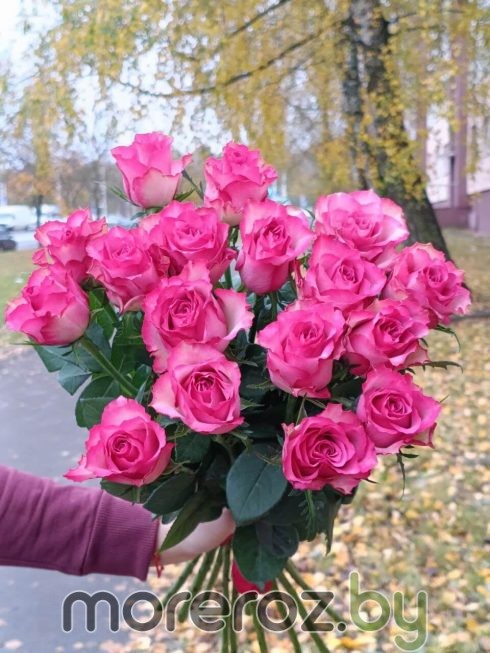 РОЗЫ ЯРКО-РОЗОВЫЕ