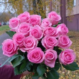 РОЗЫ РОЗОВЫЕ