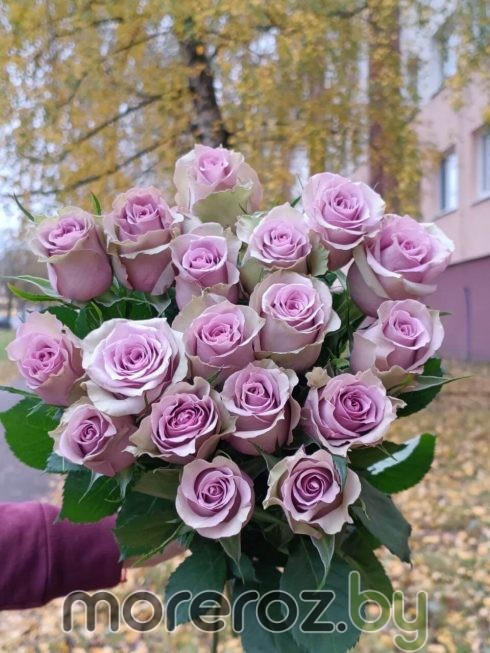РОЗЫ ЛИЛОВЫЕ