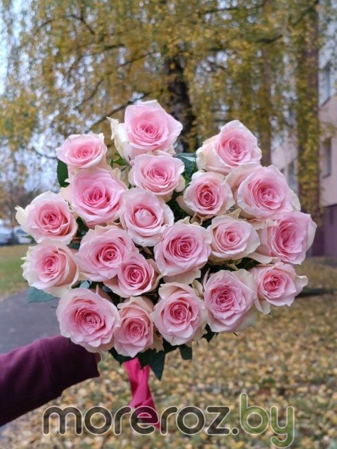 РОЗЫ НЕЖНО-РОЗОВЫЕ