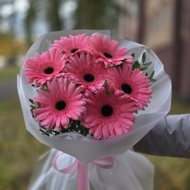 Букет розовых гербер