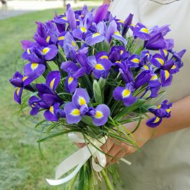 БУКЕТ ИЗ ИРИСОВ