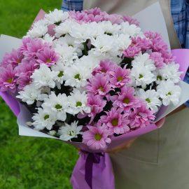 букет бело-розовых хризантем
