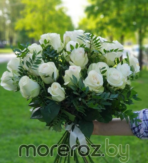 25 роз "Альба" с зеленью