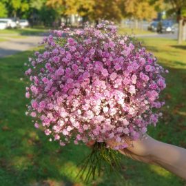 Букет невесты из розовой гипсофилы