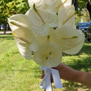Букет невесты из белых антуриумов