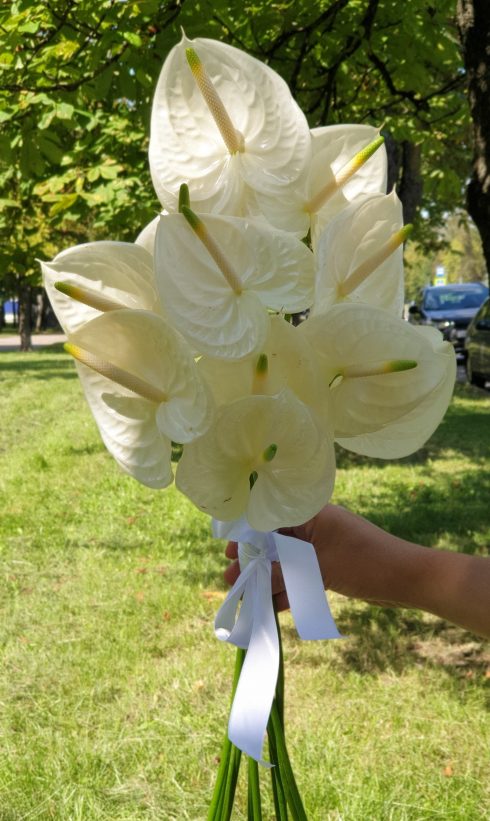 Букет невесты из белых антуриумов