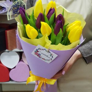 11 желто-фиолетовых тюльпанов