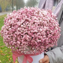 Коробка "Нежный Амур"