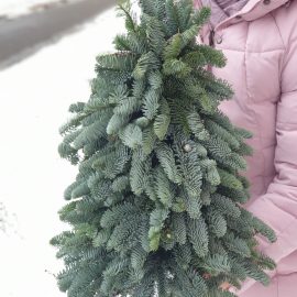 Елка из лапника пихты Нобилис