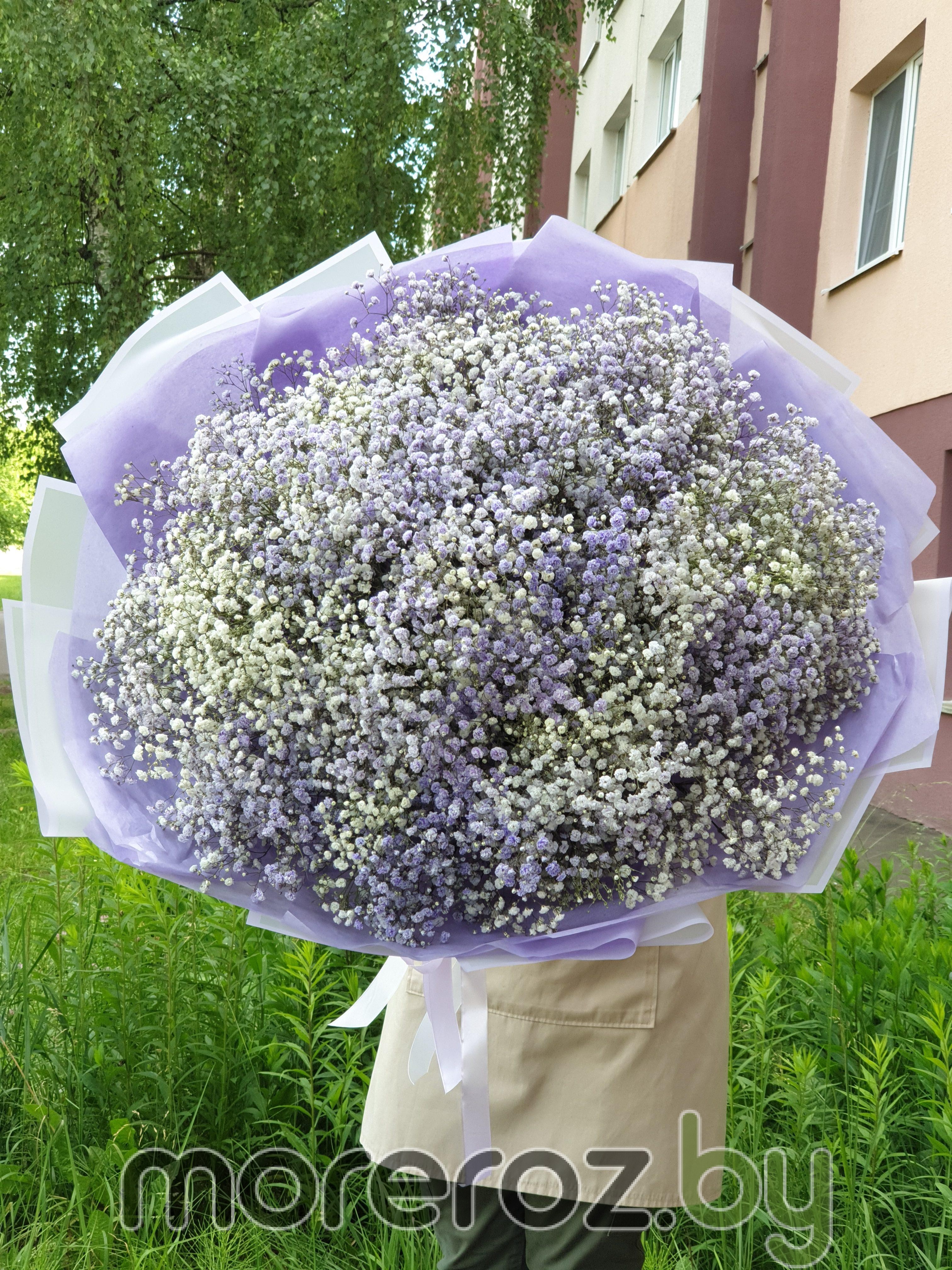 Огромный букет гипсофилы XXXXXL