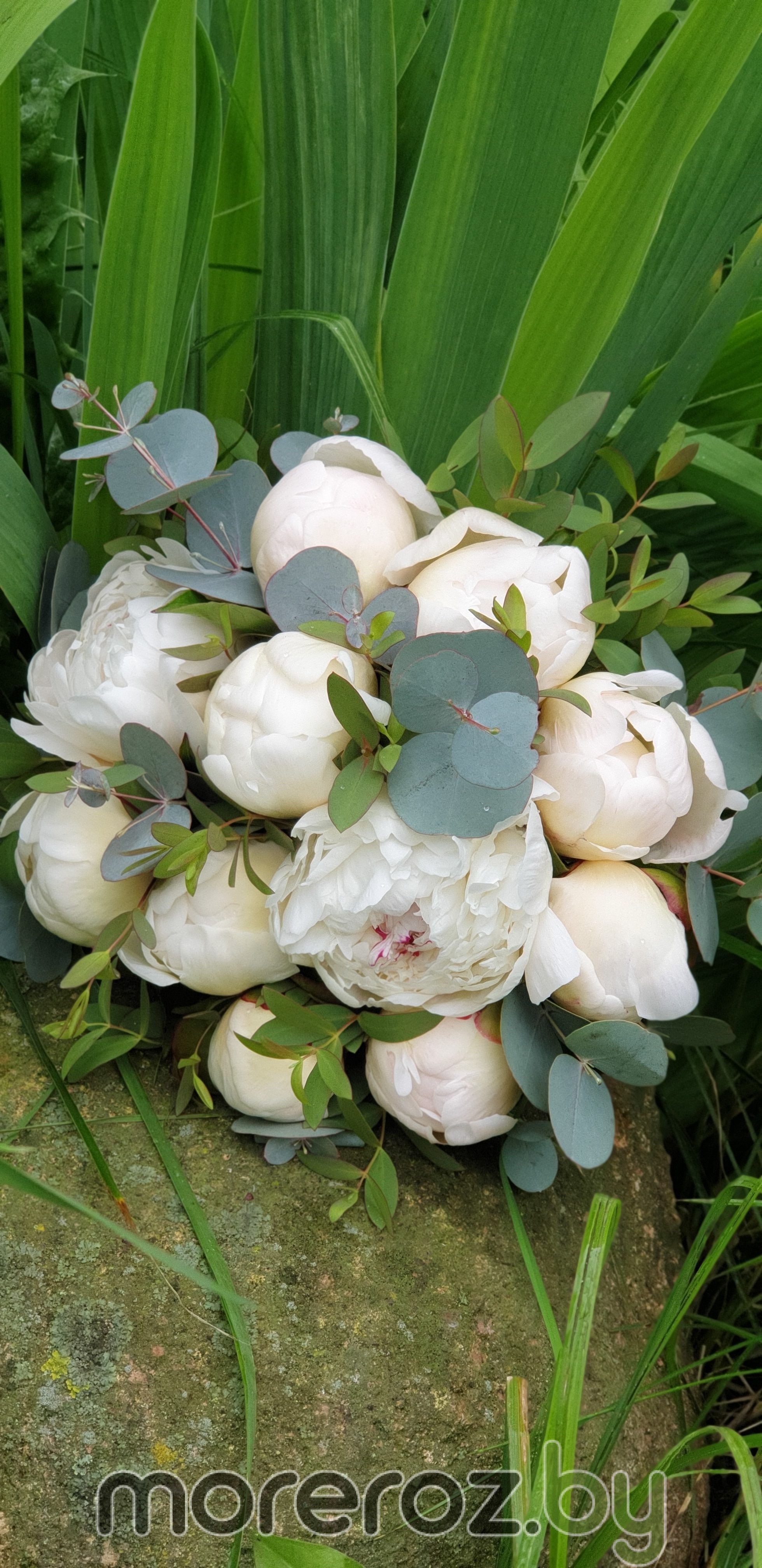 Букет невесты из белых пионов