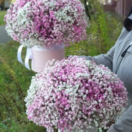 Коробка гипсофилы "Розовый вихрь"