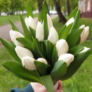 Букет невесты из тюльпанов