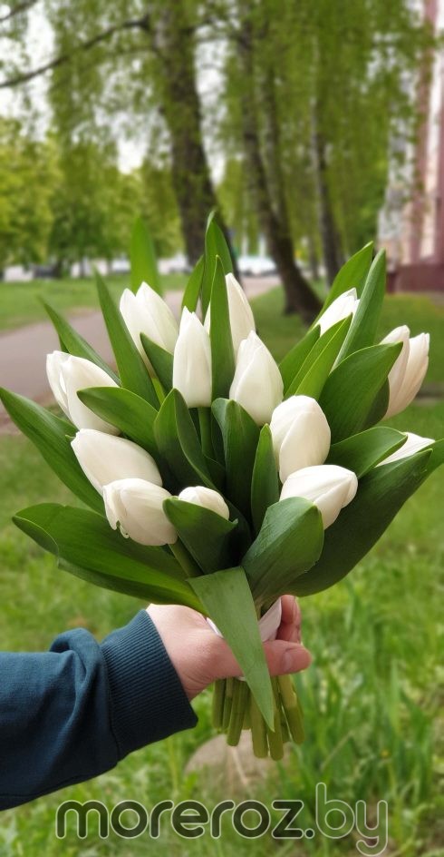 Букет невесты из тюльпанов