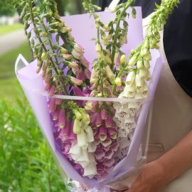 Букет наперстянок