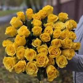 Розы желтые