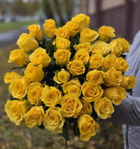 Розы желтые