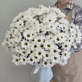 Букет из 15 веток хризантем