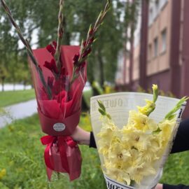 Букет-комплимент из гладиолусов